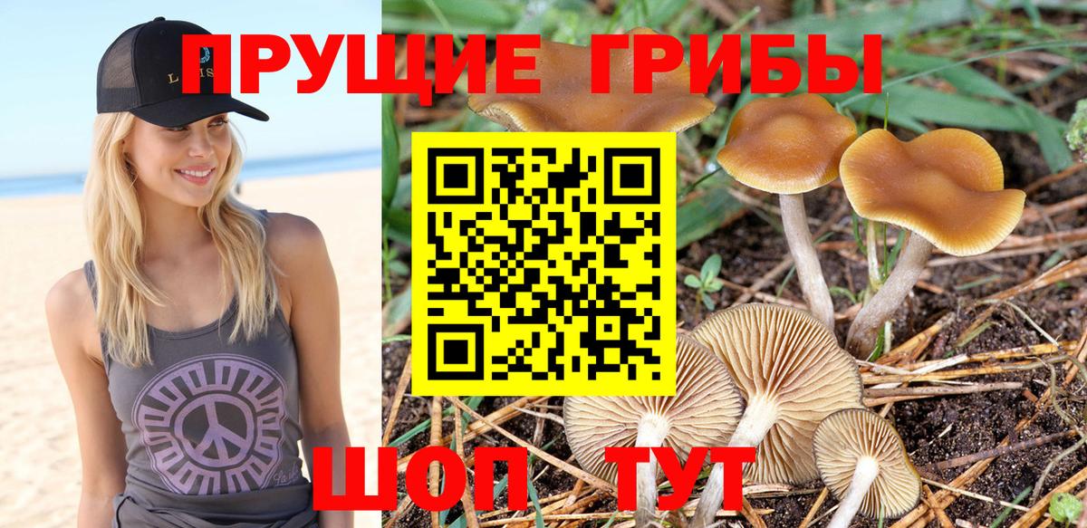 Галлюциногенные грибы мухоморы  Вход с VPN  Златоуст 